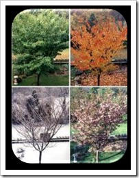 Four Seasons Four Seasons